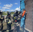 🚨 Итоги недели: - Kamensk24.Ru