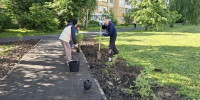 В Курске высадили деревья в месте незаконной торговли на Бойцов 9-й Дивизии - Городские Известия