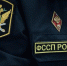 Ошибка в 15 тысяч рублей: бухгалтер нарушила сроки перечисления алиментов - УФССП