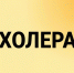 Обезвоживание за часы: чем опасна холера и как её избежать - Народное слово