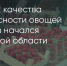 Поделитья во ВКонтакте - Братская Студия Телевидения