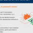 Безопасность превыше всего - УрГЭУ