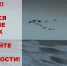Внимание! Ожидается ухудшение погоды: дождь с грозой и порывами ветра до 20-25 м/с - Itar-TassKuban.Ru