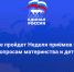 Единая Россия начала проведение Недели приёмов граждан по вопросам материнства и детства - Единая Россия
