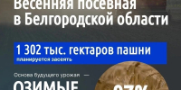 Александр Шуваев: В Белгородской области завершается весенний сев - Сетевое издание Ясный ключ