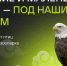Авиакомпания S7 взяла под опеку птиц новосибирского зоопарка - Gorsite.Ru