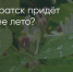 Поделитья во ВКонтакте - Братская Студия Телевидения