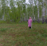 насыпь кургана 4 до начала работ. - Музей-заповедник Старина Сибирская