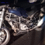 В Кирово-Чепецком районе мотоциклист на Ducati столкнулся с лосем - Город Ч.