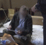 Мужчина 32 года скрывался под чужим именем после убийства человека в Рязани - M24.Ru