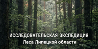 Для воспитанников школьных лесничеств региона будет организована исследовательская экспедиция «Леса Липецкой области». - Народное слово