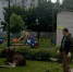 В Ярославле лось зашел на территорию детского сада в Заволжском районе - ГТРК