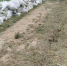 В Краснодарском крае в связи с непогодой следят за уровнем воды в реках - LiveKuban.Ru