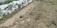 В Краснодарском крае в связи с непогодой следят за уровнем воды в реках - LiveKuban.Ru