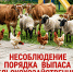 <br /><a class="sigProDownloadLink" href="/plugins/content/jw_sigpro/jw_sigpro/includes/download.php?file=images/news/01.06.2026/1/964ee3a583e11f1903fae65f54209d0_1.jpeg" download>Download this image</a> - Урюпинский район