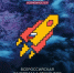 Стали известны итоги IX сезона Всероссийской олимпиады студентов «Я – профессионал» - Национальные проекты