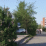 Метеорологи дали прогноз на июнь в Кировской области - Prochepetsk.ru