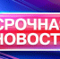 Губернатор Вадим Шумков рассказал о новых решениях по мерам поддержки семей участников СВО и опекунов детей с ОВЗ и инвалидностью. - Половинский муниципальный округ