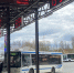 Автобусные рейсы из Олонца в Петрозаводск отменили в День России - StolicaOnego.Ru