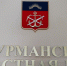 Известны итоги праймериз в Заполярье - SeverPost.ru