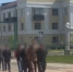 В Липецкой области во взаимодействии со спецподразделением Росгвардии пресечена незаконная деятельность иностранных граждан - Росгвардия