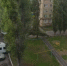 Тополя не выдерживают сильного ветра и падают на машины в Воронежской области - МОЁ! Online