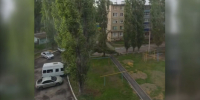 Тополя не выдерживают сильного ветра и падают на машины в Воронежской области - МОЁ! Online