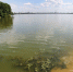 Шесть воронежских водоёмов не прошли проверку Роспотребнадзора - МОЁ! Online