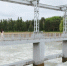 «Кубаньводпроект» прокомментировал работу Краснодарского водохранилища после дождей - Газета Краснодарские известия