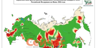 Нижегородскую область ждёт повышенный риск пожаров в июне - ИА Нижний сейчас