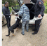 Тульские силовики вытрясли из должников 1,7 миллиона рублей - Молодой коммунар