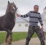 Конезавод.mp4_snapshot_00.23.112.jpg - ГТРК Кострома