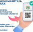 Актуальные новости и полезную информацию жители Курганской области могут узнать в каналах органов власти в национальном мессенджере МАКС. - Шадринский муниципальный округ