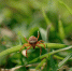 46932 - News102.Ru