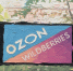 На «Госуслугах» запустили книгу жалоб на Ozon и Wildberries - StolicaOnego.Ru