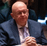 Небензя назвал голословными обвинения Румынии в адрес РФ после падения БПЛА - M24.Ru