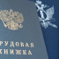 Вознаграждение за труд выплачено - УФССП
