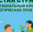 Начинается муниципальный этап конкурса «Чистая страна» - Дума города Владивостока