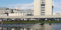 Во Владивостоке начинается процедура избрания мэра - Otvprim.Ru