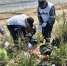 Участники акции «Вода России» очистили от мусора участок берега залива Находка - Администрация Находкинского городского округа