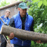 Питомник имени Шуранова: место для отдыха и живая лаборатория - Газета Хабаровские вести