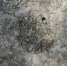 image - GazetaRB.Ru