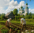 Ливень 2 июня предскажет снегопад в декабре - Bloknot-Voronezh.Ru