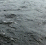 Озеро Светлое в Нижегородской области получило охранную зону в 3579 га с жёсткими запретами - ProGorodNN.Ru
