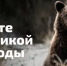 Старт всероссийского проекта «Вместе для дикой природы» пройдет 5 июня в День эколога - Министерство туризма