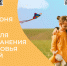 Неделя сохранения здоровья детей: забота начинается сегодня!. - Череповецкий район