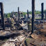 В Золотухинском районе Курской области сгорели более 60 овец и поросят - Курская правда