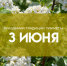 Народные приметы: 3 июня. Чётко помните об этом в Еленин (Оленин) день, если не хотите лишиться достатка - ГТРК Самара