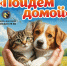 В Рязани пройдет выставка животных «Пойдем домой» - ИА Малая Родина