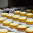 Более 350 вологодских компаний экспортируют продукцию за рубеж - OnlineVologda.Ru